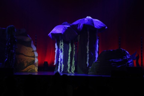 ©Gerald-Riedler-2725