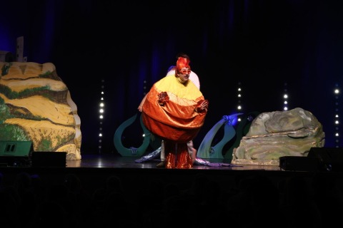 ©Gerald-Riedler-2798